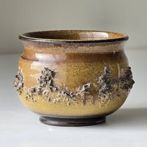 Puede incluir: Una pequeña maceta redonda de cerámica con un diseño texturizado y terroso. La maceta presenta un borde y una base de color marrón oscuro, con un degradado de tonos amarillos y marrones en el cuerpo. El exterior tiene un patrón rugoso y texturizado.