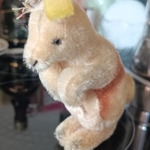 Vintage 14 cm Linda Mohair Relleno Canguro Steiff Animal 1950s Era Botón