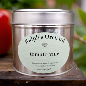 Tomato Vine scented soy candle | Green fresh scent | Eco friendly vegan candle