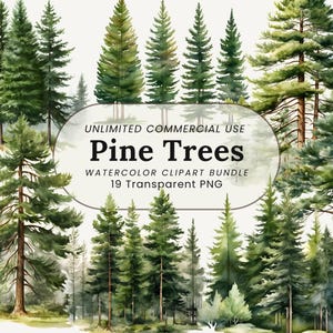 Lot de cliparts aquarelle de pin | Feuilles persistantes PNG | Art d'arbre forestier | Art de pin d'hiver | Arbre des bois | Pin aquarelle | Arbre rustique PNG