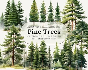 Aquarell Pine Tree Clipart Bundle: Rustikaler Wald PNG (Digital Download)