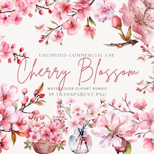 Paquete de imágenes prediseñadas de flor de cerezo / Sakura PNG / Flores de primavera PNG / Flor de cerezo PNG / Ilustraciones de imágenes prediseñadas florales / Árboles de primavera