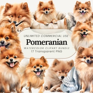 Clipart acquerello Pomerania / Illustrazione di cane carino / PNG digitale Pomerania / Arte acquerello cane / Adesivo cucciolo / Clipart amante degli animali