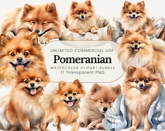 Pommern Aquarell Clipart | Hund PNG-Bilder (Digitaler Download)
