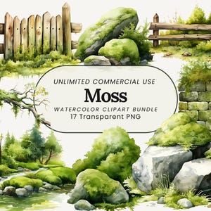 Mos-clipart | Groen mos, png-bestand | Natuurillustratie | Bemoste rots, png-bestand | Clipart bemoste tak | Clipart boselementen | Mosomheining, png