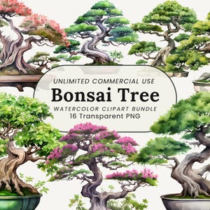 Clipart de acuarela de árbol bonsái / Bonsái PNG / Arte de árbol japonés / Árbol zen PNG / Clipart de meditación / Bonsái minimalista / Bonsái tradicional