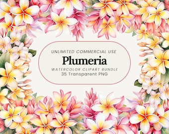 Plumeria Aquarell Clipart Bundle: Tropische Blume PNG (35 Bilder)