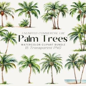 Zestaw akwarelowych clipartów z palmą | Clipart tropikalny, Clipart letni, Clipart plażowy, Grafika tropikalnego drzewa, Sublimacja palm, Hawaje PNG