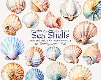 Aquarell Muschel Clipart Bundle | Leben im Meer PNG (Digital Download)