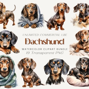 Dackel Aquarell Clipart Bundle | Wursthund PNG, Hund Clipart, Haustier Illustration, Tier Clipart, Hundeliebhaber, Hunderasse Clipart, Haustier PNG