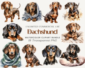 Dachshund Watercolor Clipart Bundle: Sausage Dog PNG (Digital Download)