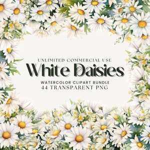 Watercolor Daisy Clipart Bundle | Daisy Bouquet, Daisy Wreath, Daisy Frame | Spring Floral Png | White Flower Clipart | White Daisy Png