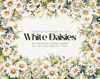 Watercolor Daisy Clipart Bundle: Spring Floral PNG (Digital Download)