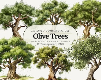 Aquarell Olivenbaum Clipart: Mediterrane Grün PNG (Digital Download)
