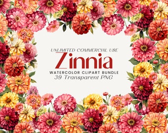Zinnie Aquarell Clipart Bundle: Frühling Floral Designs (PNG)