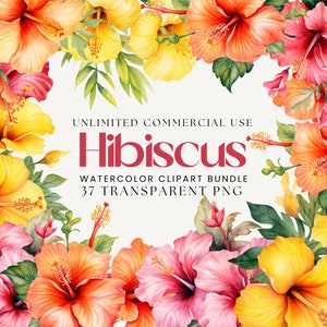 Hibiskus Aquarell Clipart Bundle | Tropische Blume, exotische Blume, Hibiskusstrauß, Kranz, Rahmen, Blume PNG, Aquarell Blumen PNG