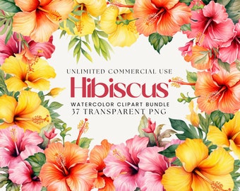 Hibiscus Watercolor Clipart Bundle | Tropical Flower, Exotic Flower, Hibiscus Bouquet, Wreath, Frame, Flower PNG, Watercolor Floral PNG