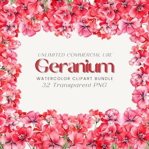 Puede incluir: Un paquete de clipart de acuarela de 32 imágenes PNG transparentes con flores de geranio rosas. El texto "UNLIMITED COMMERCIAL USE Geranium WATERCOLOR CLIPART BUNDLE 32 Transparent PNG" se muestra sobre un fondo blanco.