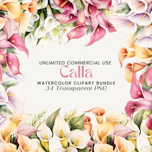 Calla aquarel clipartbundel | Calla lelie | Clipart voor uitnodigingen | Digitale callabloemen | Bruiloft bloemen clipart | Botanische bundel