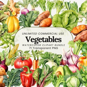 Lot de cliparts aquarelle de légumes | Aquarelle de légumes PNG | Illustrations fraîches de la ferme pour logos, invitations et sublimation