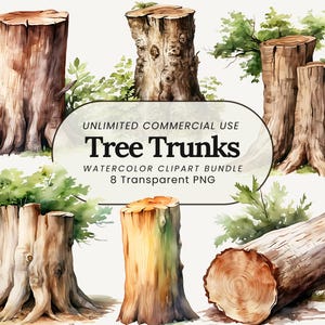 Boomstam-clipart | Houten schijf, png PNGEgg | Clipartset bos | Natuur clipart-png | Boomstronkkunst | Houten structuur, png-bestand | Boomschors digitaal