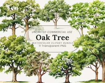 Aquarell Eiche Clipart Bundle: Rustikaler Wald PNG (Digital Download)