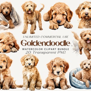 Lot de cliparts aquarelle Goldendoodle | Amoureux des chiens, amoureux des chiens, clipart Goldendoodle, illustrations de chien, chiot PNG