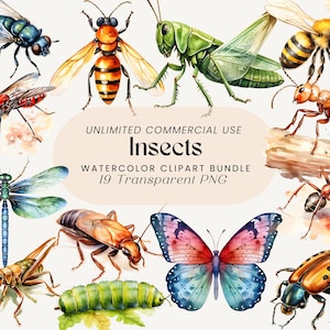 Pacchetto Clipart di insetti / Clipart di insetti / PNG di farfalle / PNG di api / Arte di libellule / Grafica di scarabei / Illustrazione di insetti / Design di coccinelle