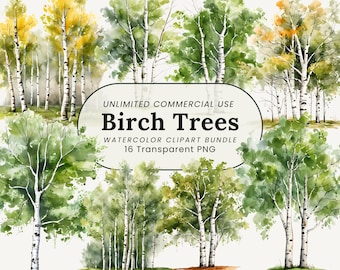 Birken Baum Aquarell Clipart: Wald Illustration (PNG Digital Download)