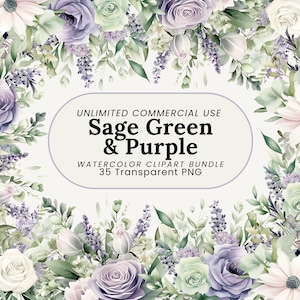 Floral vert sauge et lavande | Aquarelle de fleurs PNG | verdure botanique pour logos, faire-part et oeuvre d'art mural | Fleurs patel