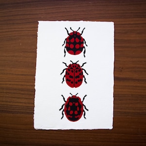 Coccinelle bordolesi