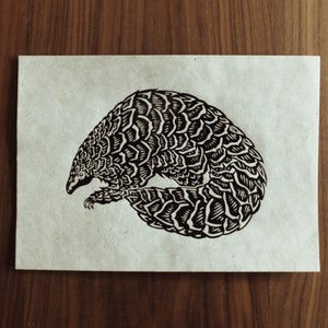 Pangolin