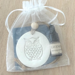 Diffusore di aromi artigianale a forma di gufo in argilla e set regalo con oli essenziali, deodorante per auto, aromaterapia con oli essenziali.