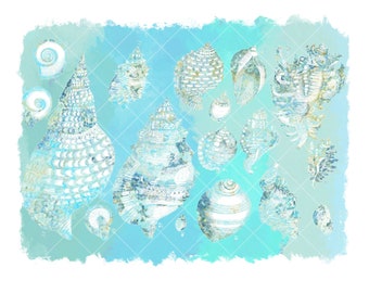 Sublimation PNG Background Turquoise and Sea Shells Beach Summer Digital Download Commercial Use