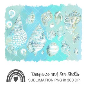 Sublimación PNG Fondo Turquesa y Conchas Marinas Playa Verano Descarga Digital Uso Comercial