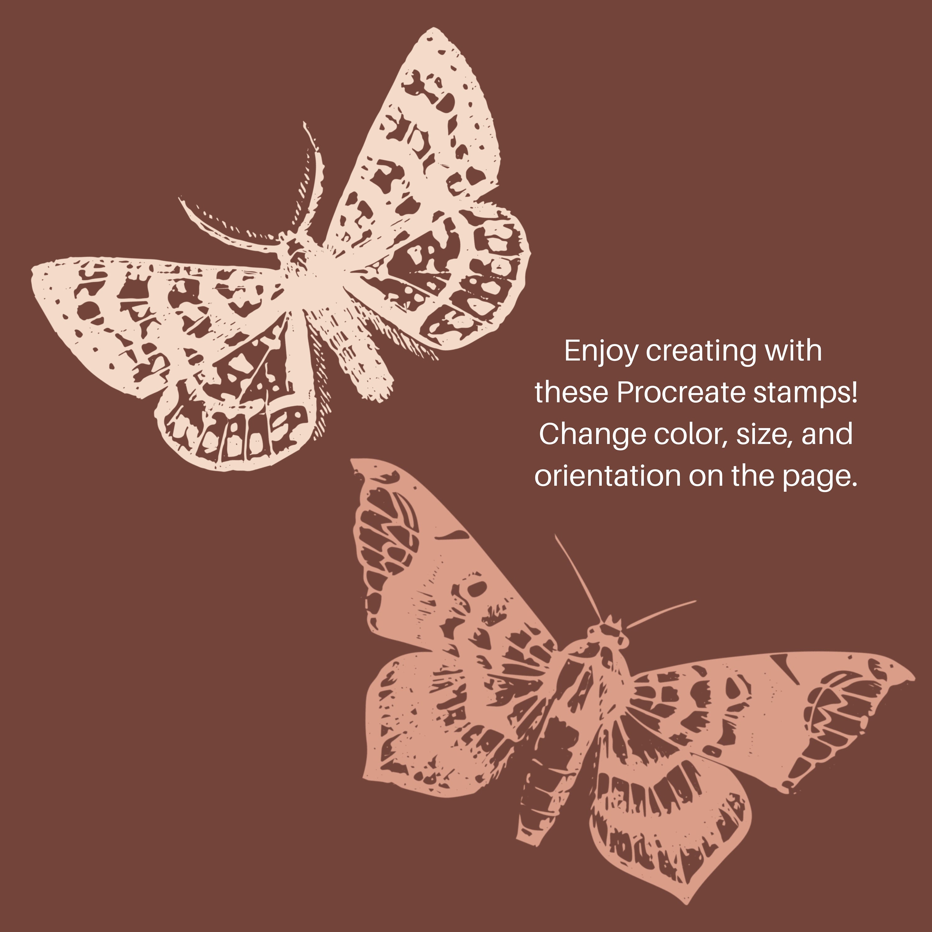 Butterfly Stamps for Procreate Butterfly Stencil Stamps Etsy