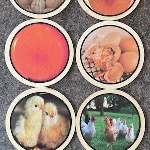 May include: Six round wooden coasters with different images of chickens and eggs. The coasters feature a nest of eggs, a cracked egg with a chick inside, a chick hatching from an egg, two chicks together, and a group of chickens in a grassy field.