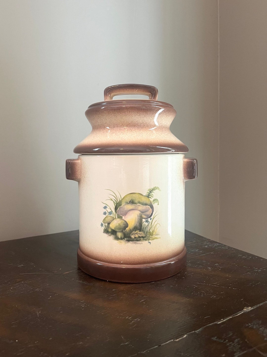 MCM Mushroom Hobbyist Ceramic Canister Etsy
