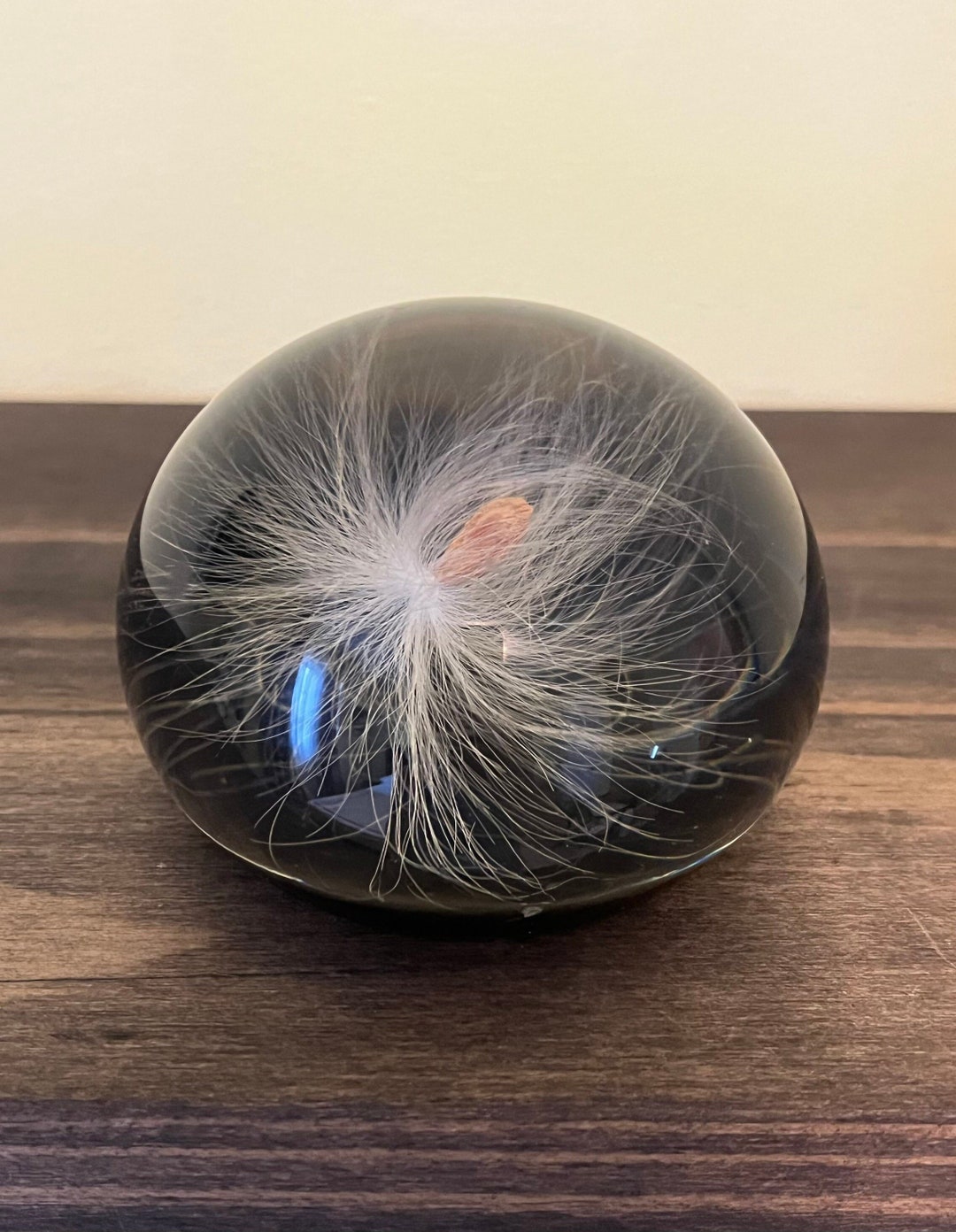 Vintage Tarax Infinity Milkweed Seed Paperweight Etsy