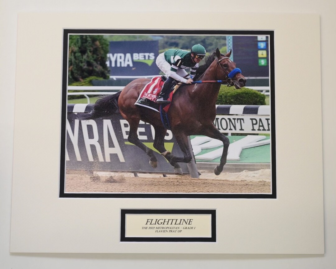 year of the horse flightposite