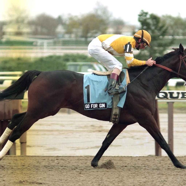 Go for Gin winning the 1993 Remsen Stakes Aqueduct Race Track