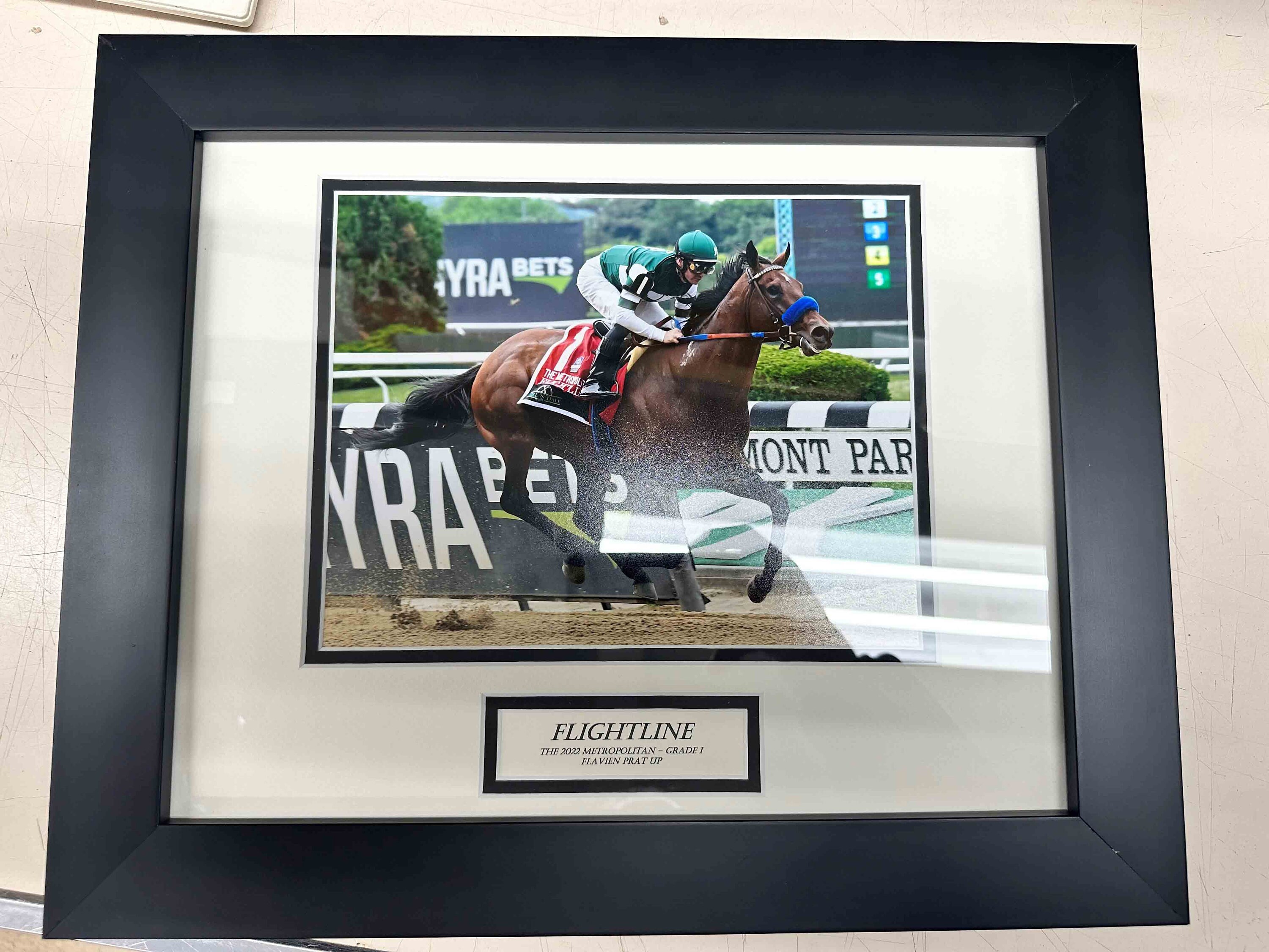 year of the horse flightposite