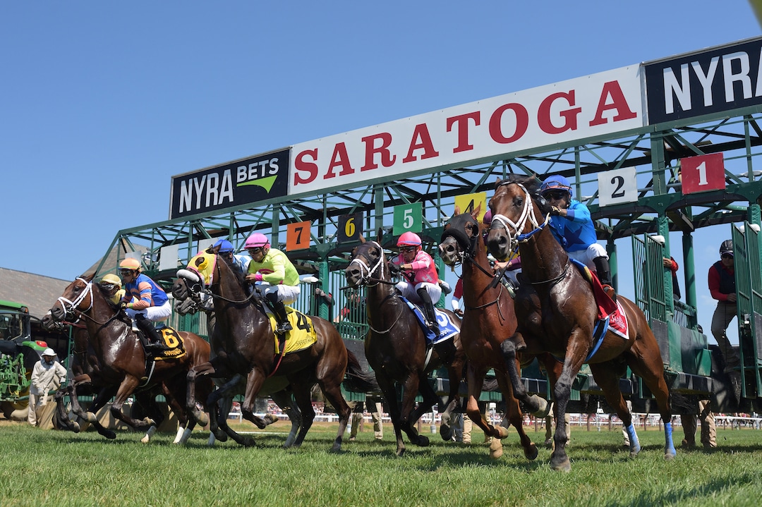 Saratoga Race Course Starting Gate Etsy