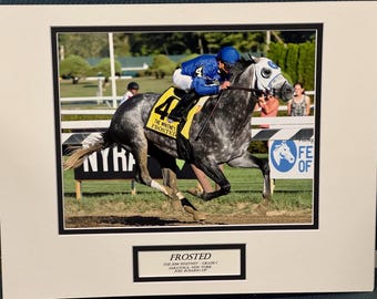 Frosted winning the Whitney Stakes
