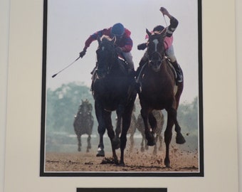 Affirmed vs. Alydar, 1978 Belmont