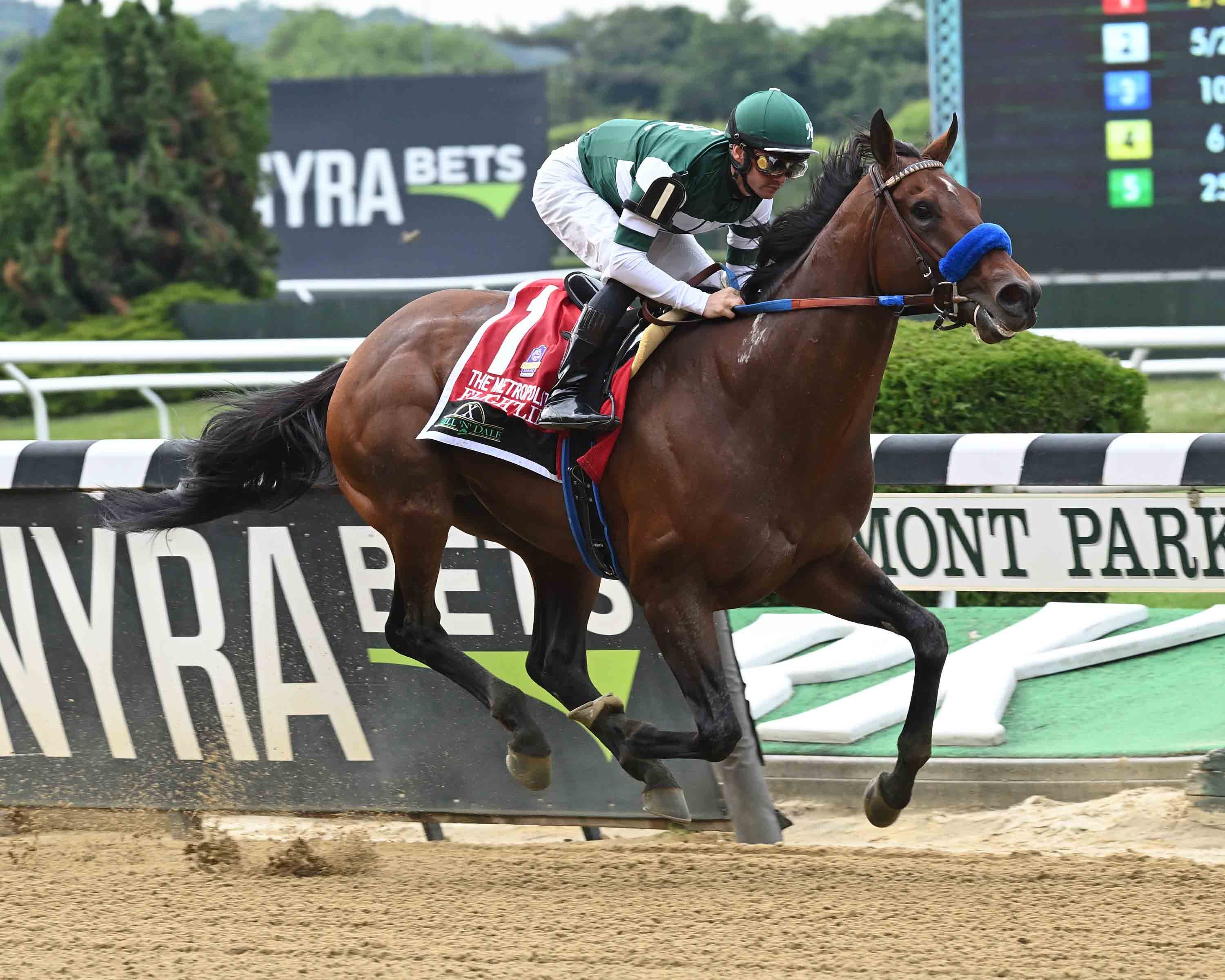 year of the horse flightposite