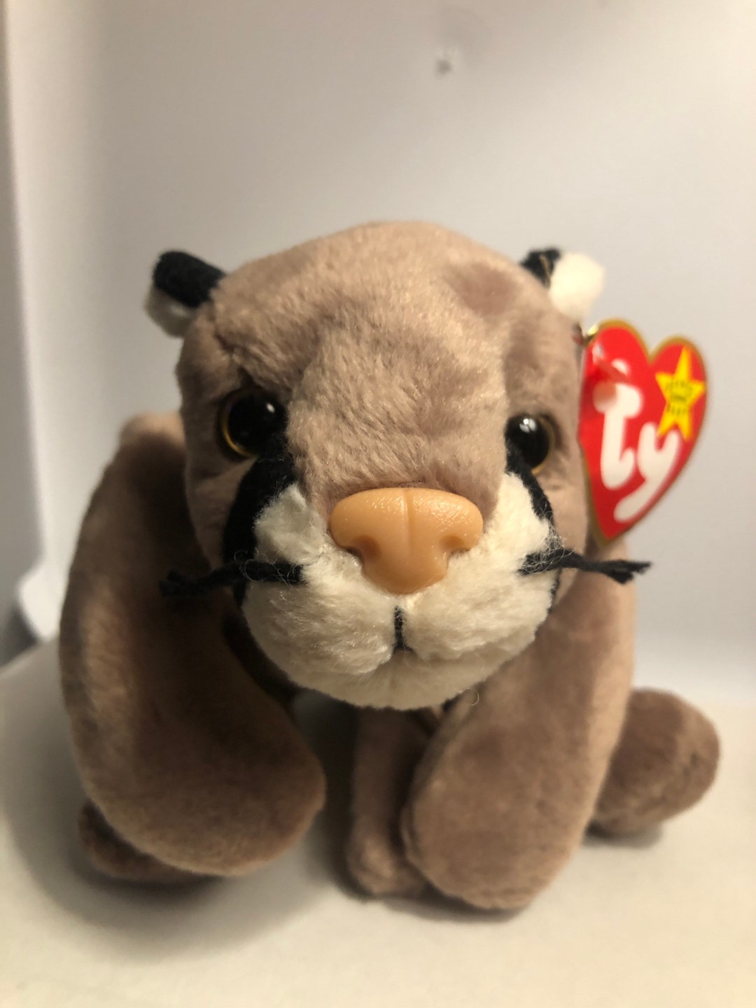 Ty Beanies Babies Canyon the Cat Etsy