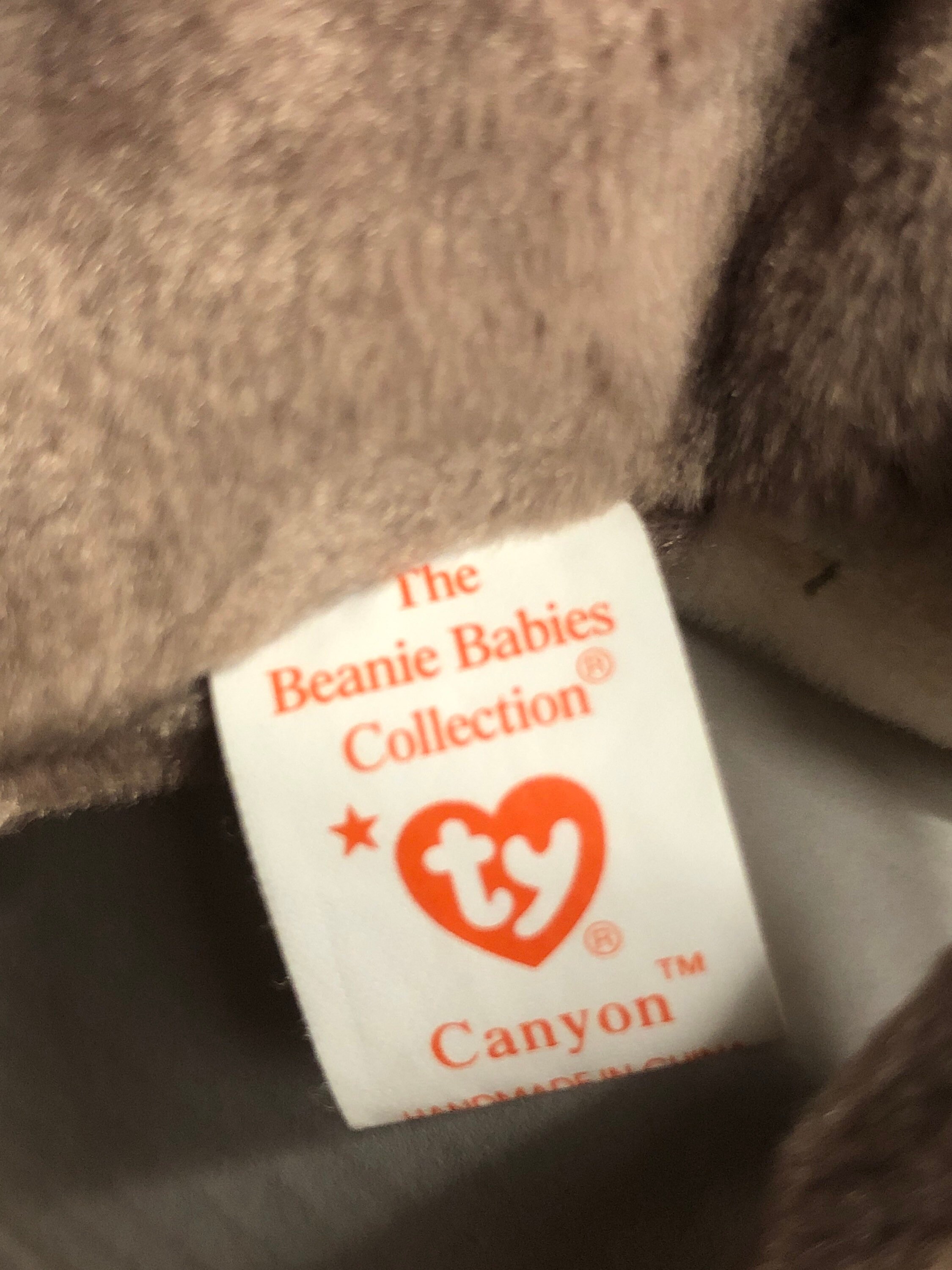 Ty Beanies Babies Canyon the Cat Etsy
