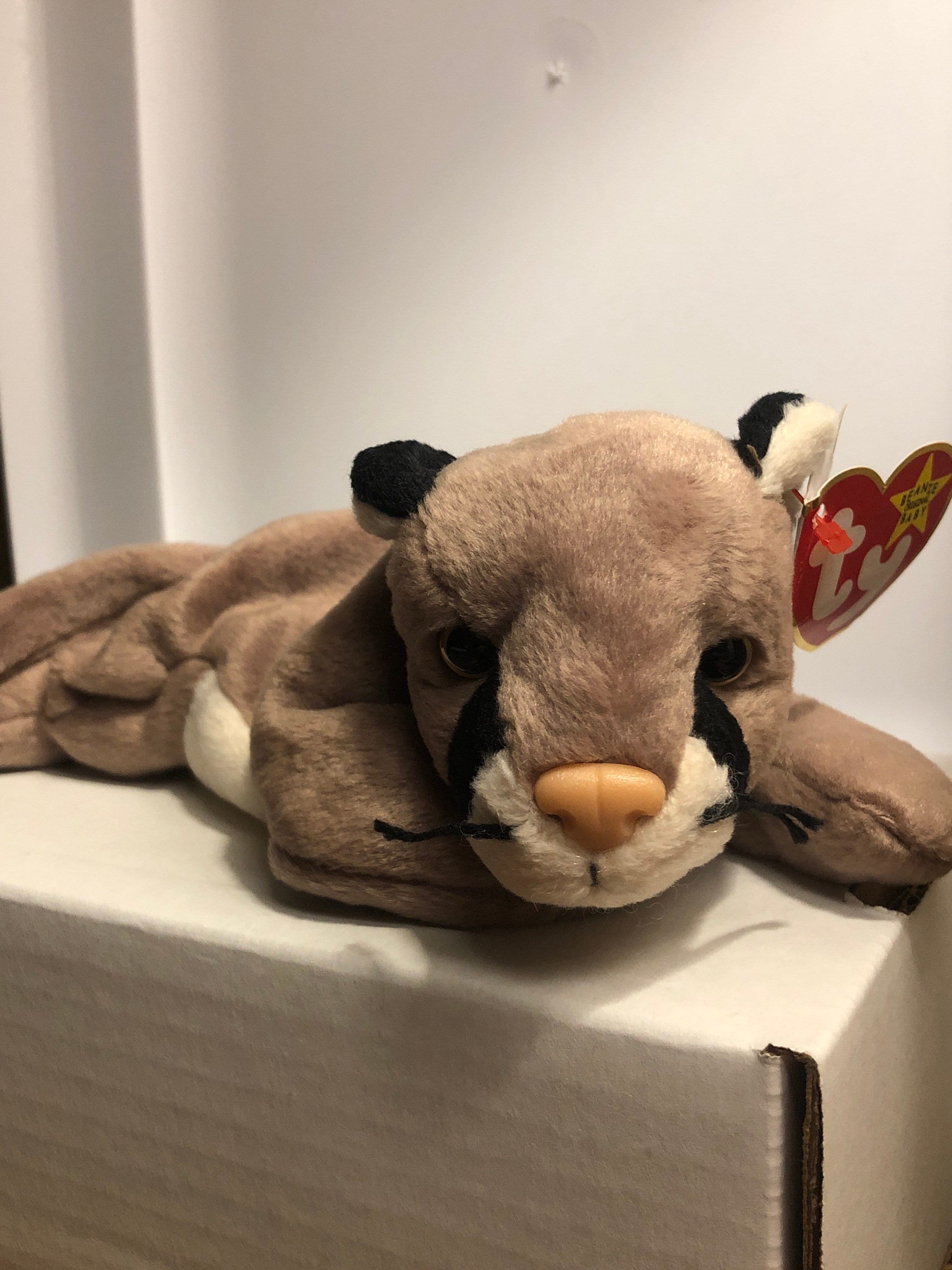 Ty Beanies Babies Canyon the Cat Etsy