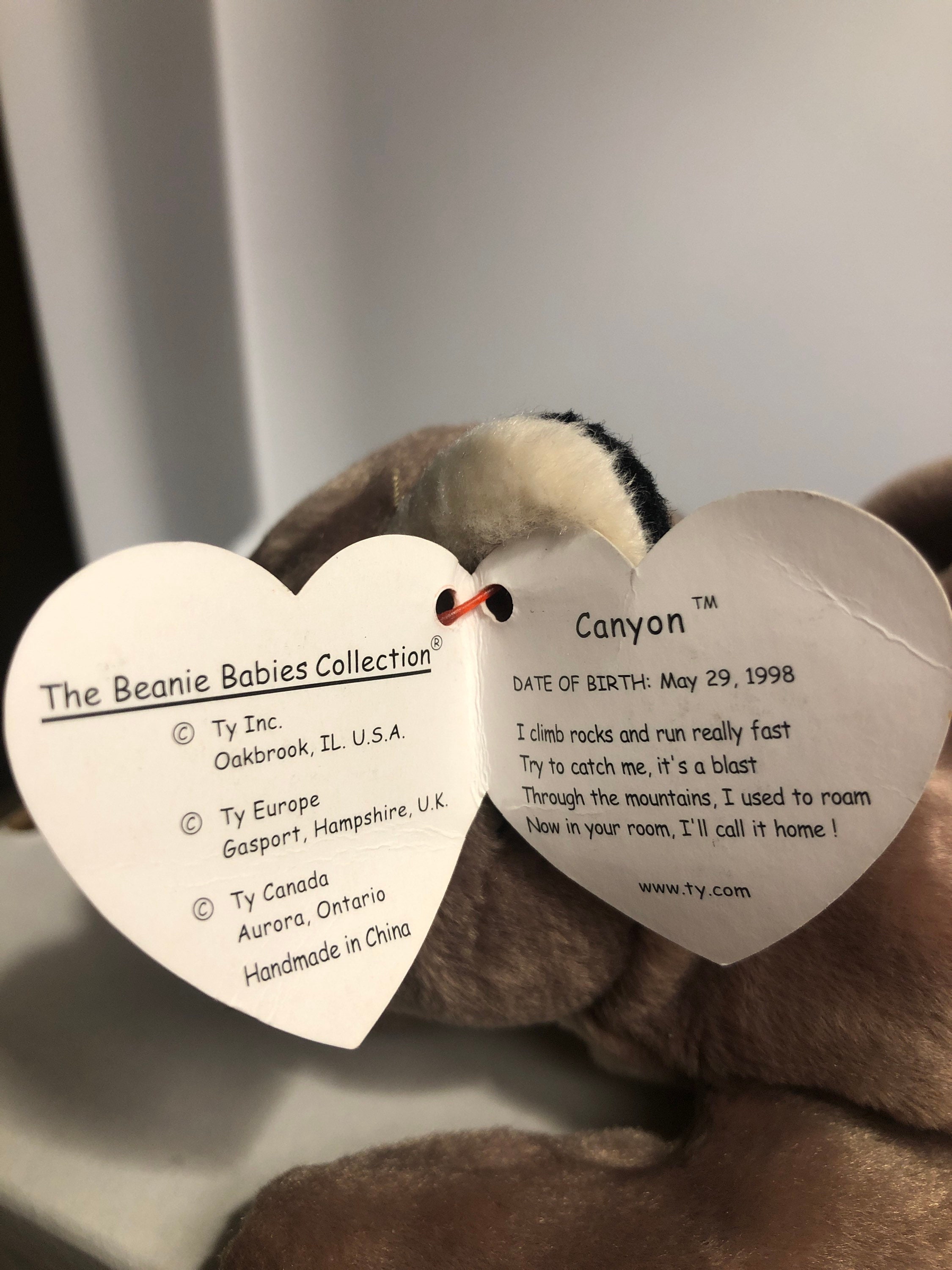 Ty Beanies Babies Canyon the Cat Etsy